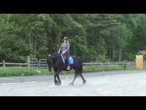 World Dressage Federation | Sample Test | Foundation Level | Test 2 | Marnie and Evie