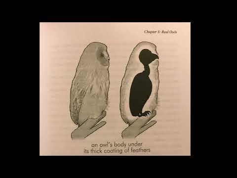 Science Diagrams that look like Shitposts but with Everhood OST