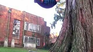 rahzel - make the music 2000