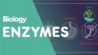 Enzymes | Cells | Biology | FuseSchool
