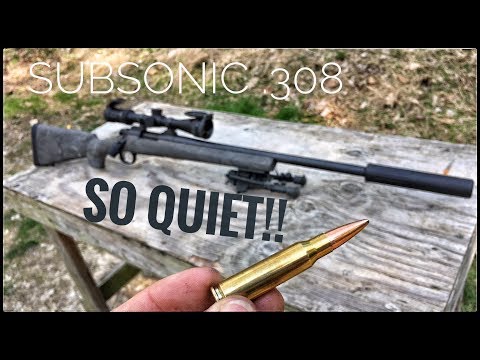 Suppressed .308 | How Quiet Is It? [Silencer Series ep. 01]