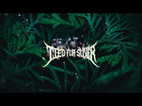 [FREE] cedar - midwest emo guitar skele type beat (prod tiedforsilver x mackk)