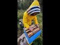 пчелиная драма 🐝🙃 #dobrosot