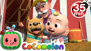 Bingo (Farm Version) + More Nursery Rhymes & Kids Songs - CoComelon Bingo (Farm Version) + More Nursery Rhymes & Kids Songs - CoComelon