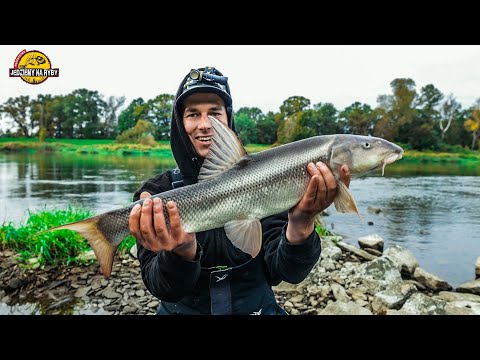 RIVER FEEDER from the HEAD - BEAUTIFUL BARBELL