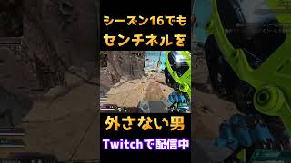 シーズン16でもセンチネル外さない男【APEX】#センチネル　＃シーズン16