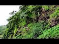 Har Taraf Shor Mausam Ka Saya Hai Status New Viral Song Status Trending Status Full Screen 4k
