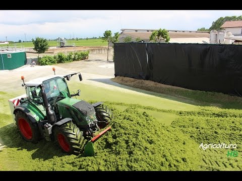 Wheat Silage für Biogas in Italy - Fendt 724Vario Claas Jaguar 980 JohnDeere 6210r