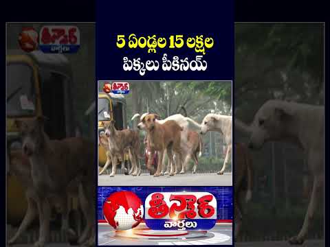Stray Dogs Terrorize Telangana  15 Lakh Dog Bite Cases Reported in 5 Years   |V6 Teenmaar