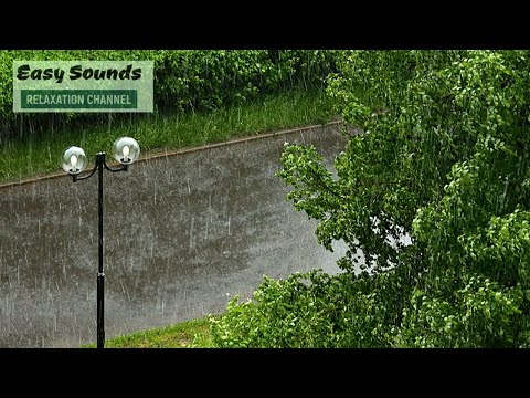Tropical WIND on a RAINY Day-Rain and Thunder Sounds for SLEEP & Relaxation