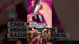 Download lagu HOW TO REMOVE TOXIN FROM TONGKOL FISH mp3 Download lagu HOW TO REMOVE TOXIN FROM TONGKOL FISH mp3