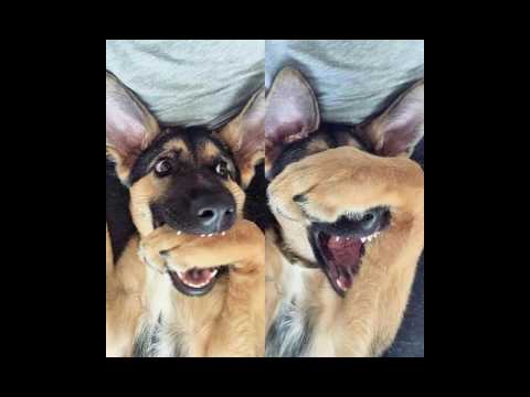 EA7 MUSIC - Jay Sean - Ride It (Regard Remix)