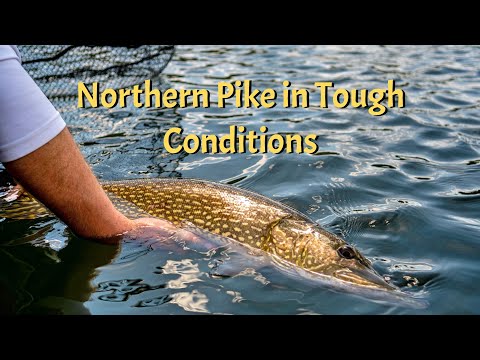 When the Going Gets Tough - Brace Lake Outfitters - YouTube