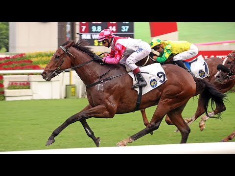 Super Wealthy - 2023 Inglis Ready2Race Sale