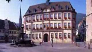 preview picture of video 'Rathaus Neustadt an der Weinstraße'