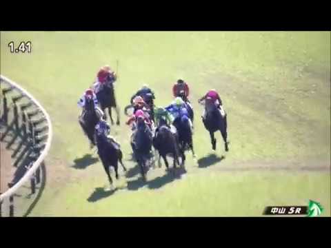 Satono Flag (JPN) wins race 5 at Nakayama 01/05/2020