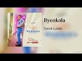 David Lutalo Byonkola Official Instrumental Audio