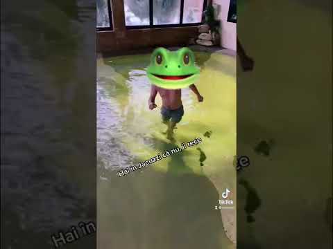 Vacanță de Boomeri în Gherla