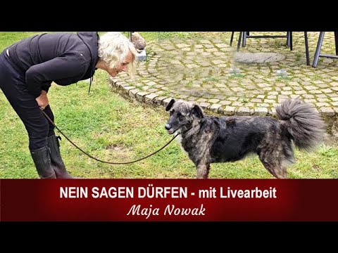 NEIN SAGEN DÜRFEN (Mit Livearbeit) - Eine neue Reihe über das Leben - Teil 13