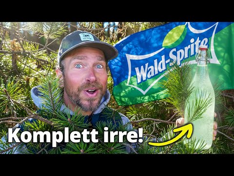 Sprite aus Kiefernnadeln: 10 mal gesünder als Zitronenwasser!