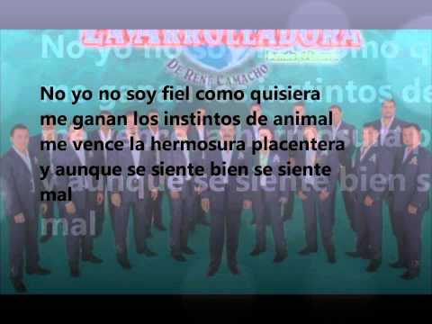 No la voy a engañar la arrolladora letra
