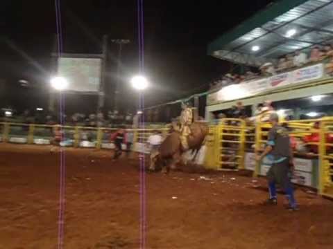 Cleverson Rodriguês goiaba) x João De Barro CIA Euripinho Solo