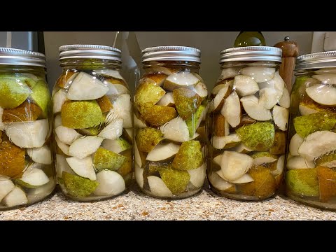 Canning Fresh PEARS | Water Bath Canning | EASY Syrup