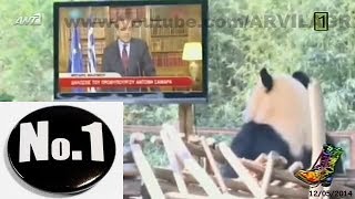 ΡΑΔΙΟ ΑΡΒΥΛΑ S7 / E23 (12/05/2014) » RADIO ARVILA ANT1 TV - Full Episode