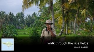 preview picture of video 'Rice Fields, Ubud'