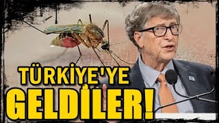 BİLL GATES’İN SİVRİSİNEKLERİ TÜRKİYE’DE! TUHAF ŞEYLER OLUYOR!