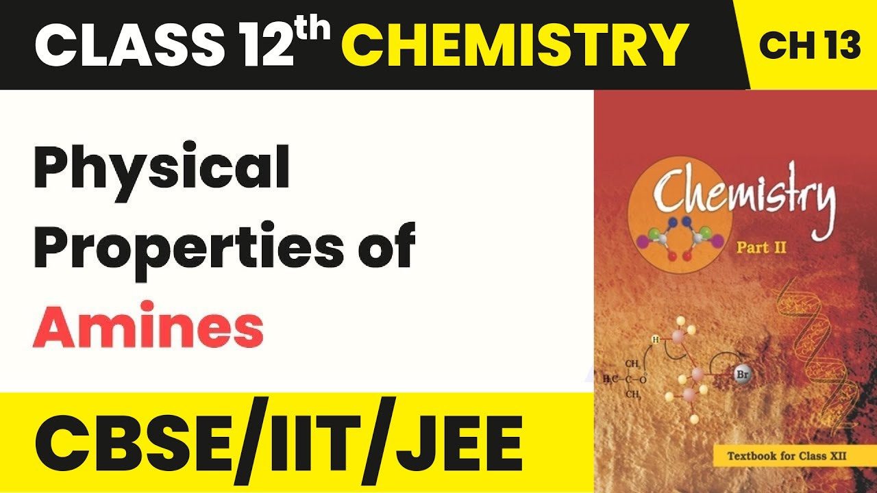 Physical Properties of Amines | Class 12 Chemistry Chapter 13