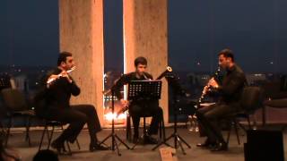 G. Kummer- Trio-Flute, Clarinet, Bassoon