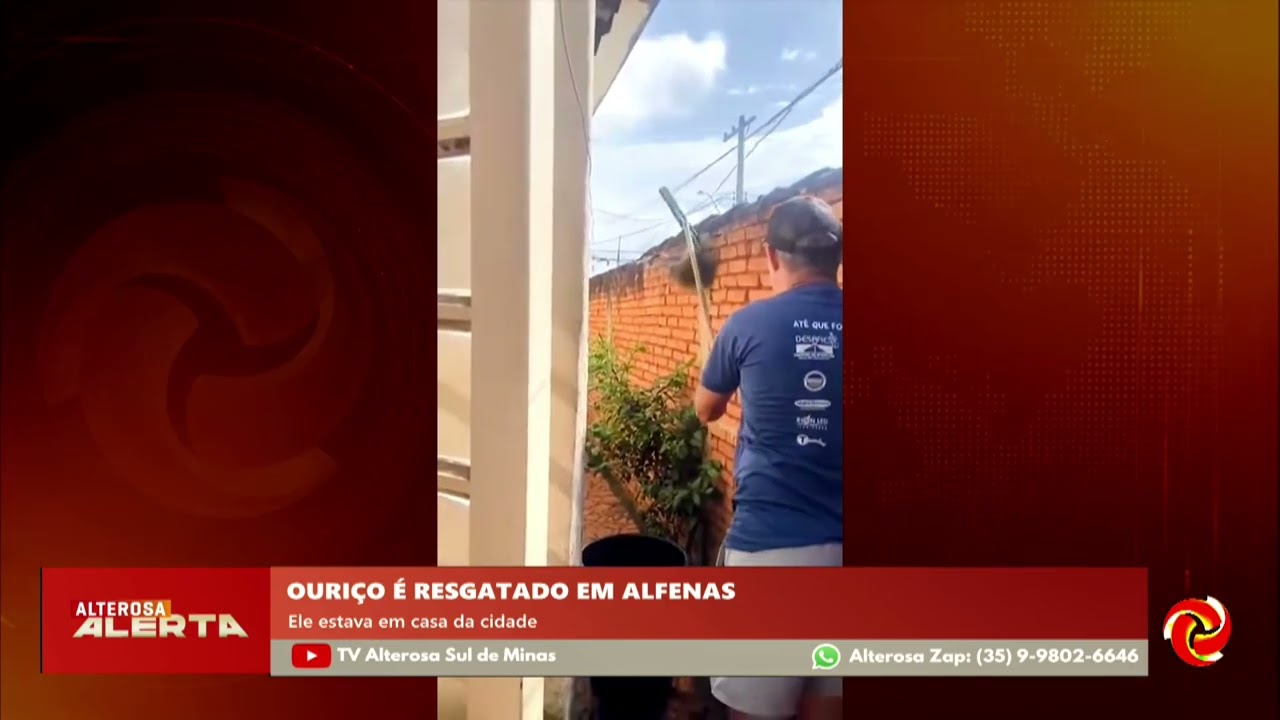 Ouriço é resgatado dentro de casa em Alfenas