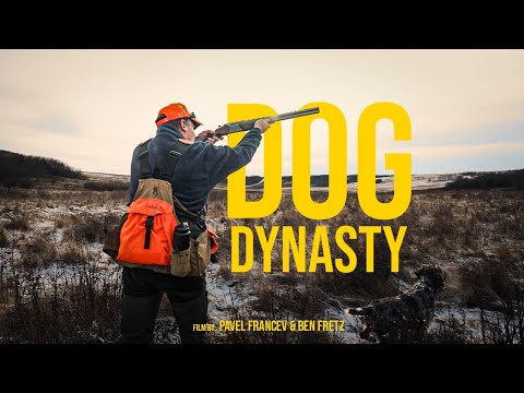 Wirehaired Pointing Griffons - breeding, training, testing and hunting.