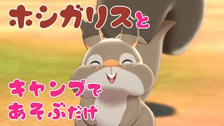 ホシガリス ポケットモンスター キリンリキ メタグロス ナマズン
