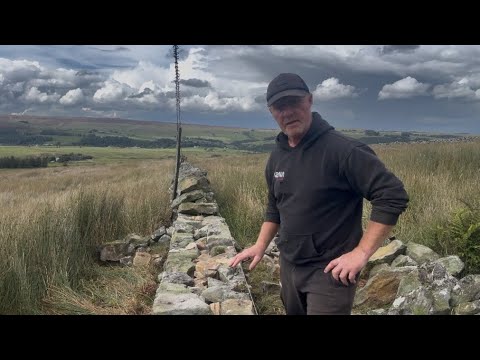 Building a Drystonewall on a grouse moor 