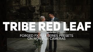 Tribe Red Leaf Forged presets to make KILLER images