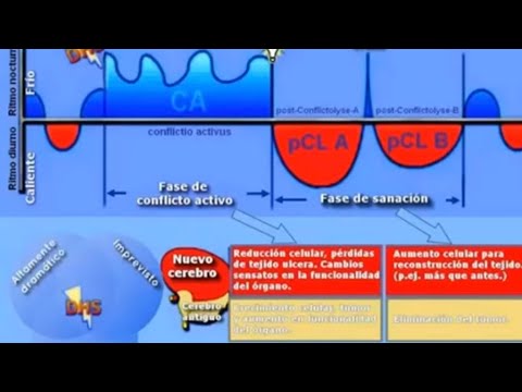 Música para  sanar, el Gran Regalo del Dr Hamer para la Humanidad