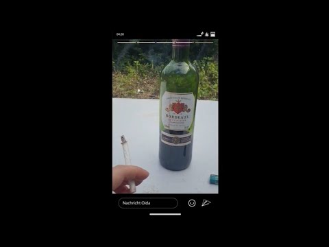 Fate x Alllone – Wasted Youth Schickeria