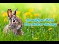Breakfast With The Easter Bunny