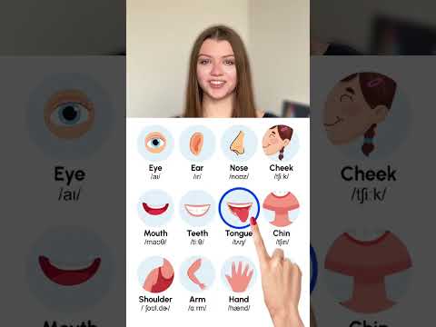 Organ Name 🔥 Basic English Speaking Practice, #lolaspeakenglish, #shorts