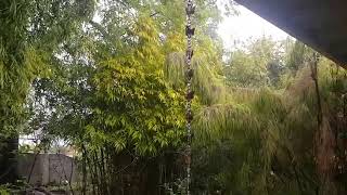 Fascinating Beauty in a Practical Solution - Rain Chains