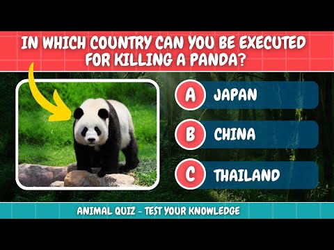 The Animal Kingdom Quiz
