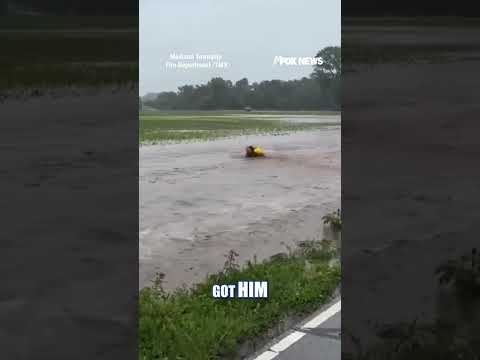 WATCH: A fire captain jumped into rushing floodwaters to save a baby deer