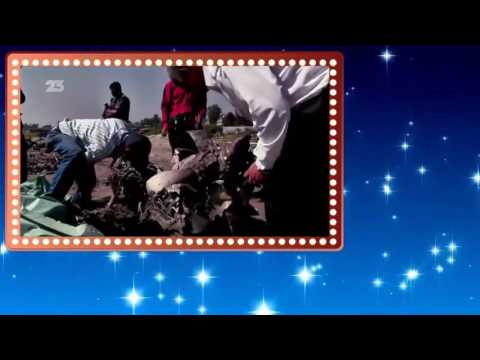 OVNIS 2016 Hangar 1 Les Dossiers OVNI S01E06 Des incidents maquillés