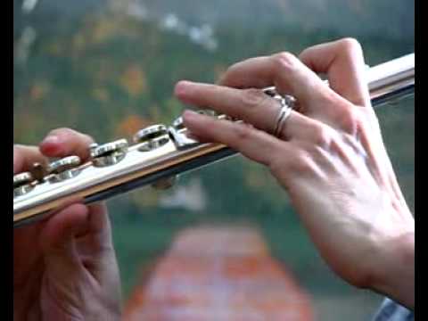 Gemeinhardt 3SB Used Flute-Silver Head, Body and B-Foot