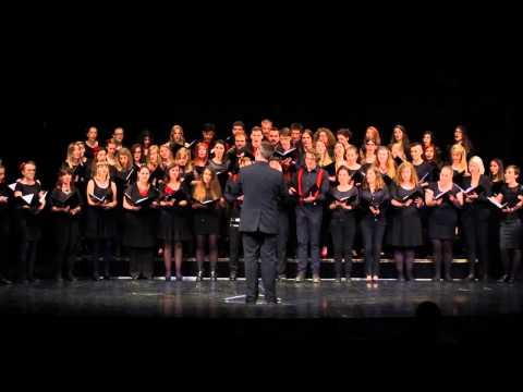 Concordia discors - Zagorski svati