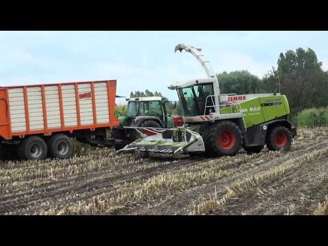 Claas Jaguar 890 Van Rulo in  boxtel part 1 HD