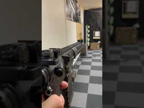 Armalite Eagle 15 ORC Shooting and Review | Guns \u0026 Gains