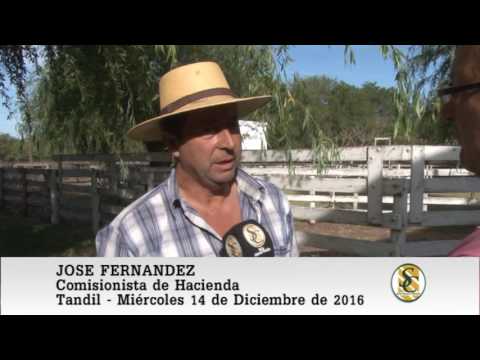 14-12-16 Nota Jose Fernandez - Ledesma y Arana S.R.L. - Tandil.
